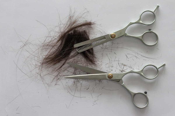 What Happens If I Drop My Hair Shears? Scissor Fall Damage - Japan Scissors  USA