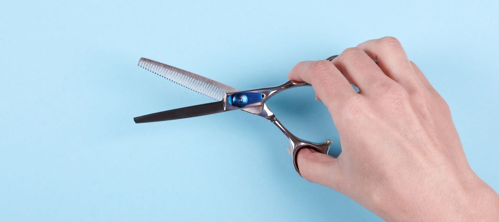 Hair Scissors Hair Cutting Scissors Stainless Steel Razor Hair Trimming  Scissors 6.5 Long Blue